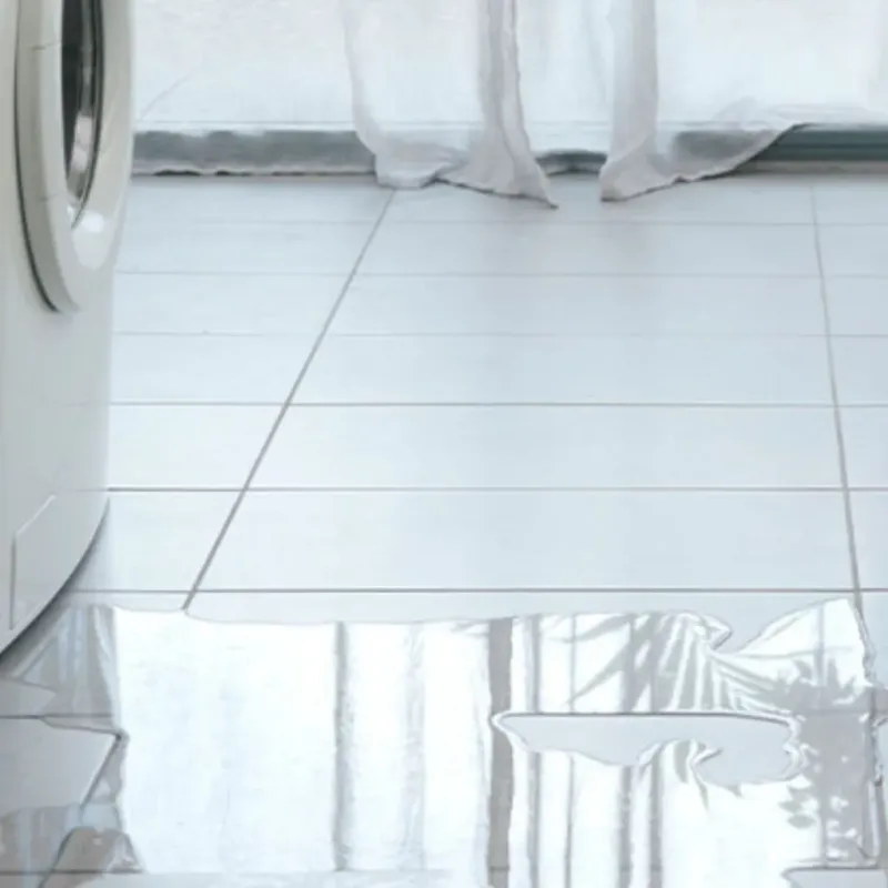 Appliance Leak Cleanup in Bodfish, CA