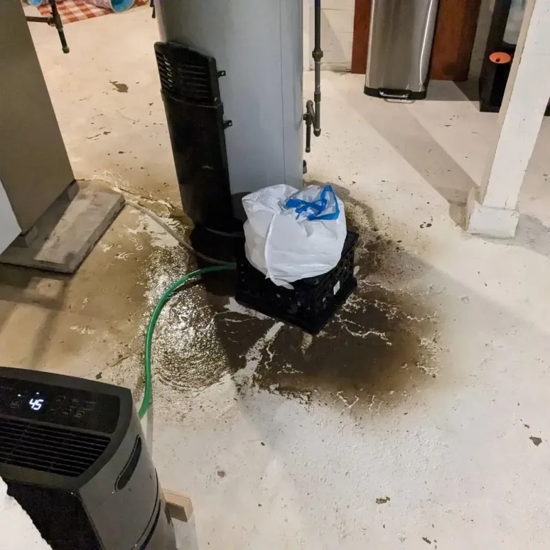 Sewage Backup Cleanup Service in Bodfish, CA